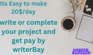 freelancer writer make money from writterbay