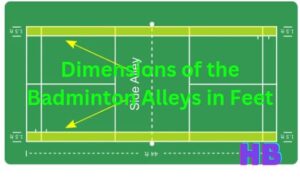 dimension of badmintion alleys in foot and meters