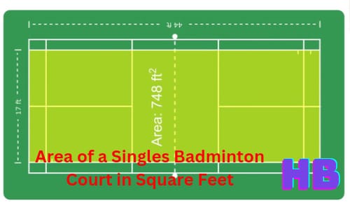 doubles badminton court lines