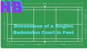 Badminton Court Size for singal player