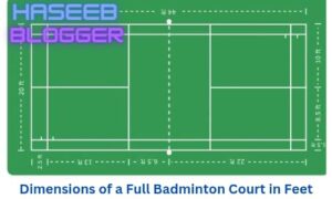 Badminton Court Size for double player
