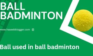ball used in ball  badminton  